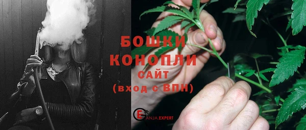 стаф Белокуриха